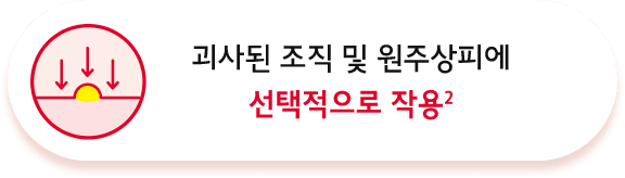 과사된 조직 및 원주상피에 선택적으로 작용