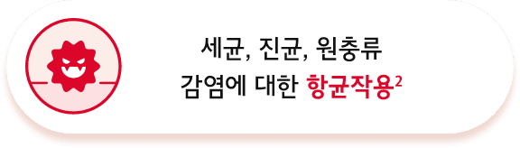 세균, 진균, 원충류 감염에 대한 항균작용