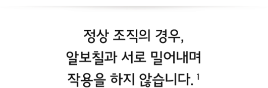 건강한 세포가 알보칠을 만나면?