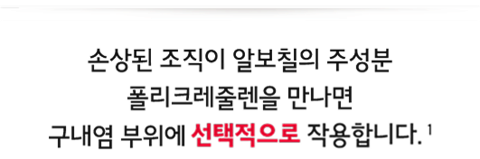 손상된 세포가 알보칠을 만나면?